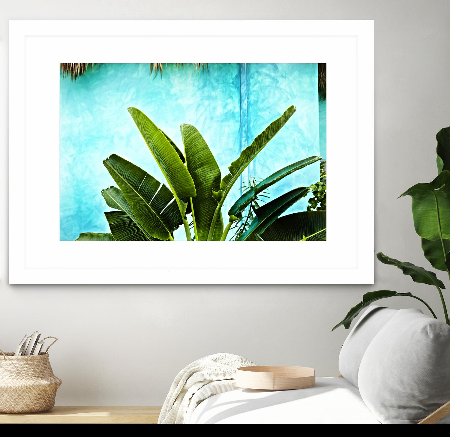 Tropical II by Peter Morneau on GIANT ART - green photo art
