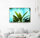 Tropical II by Peter Morneau on GIANT ART - green photo art