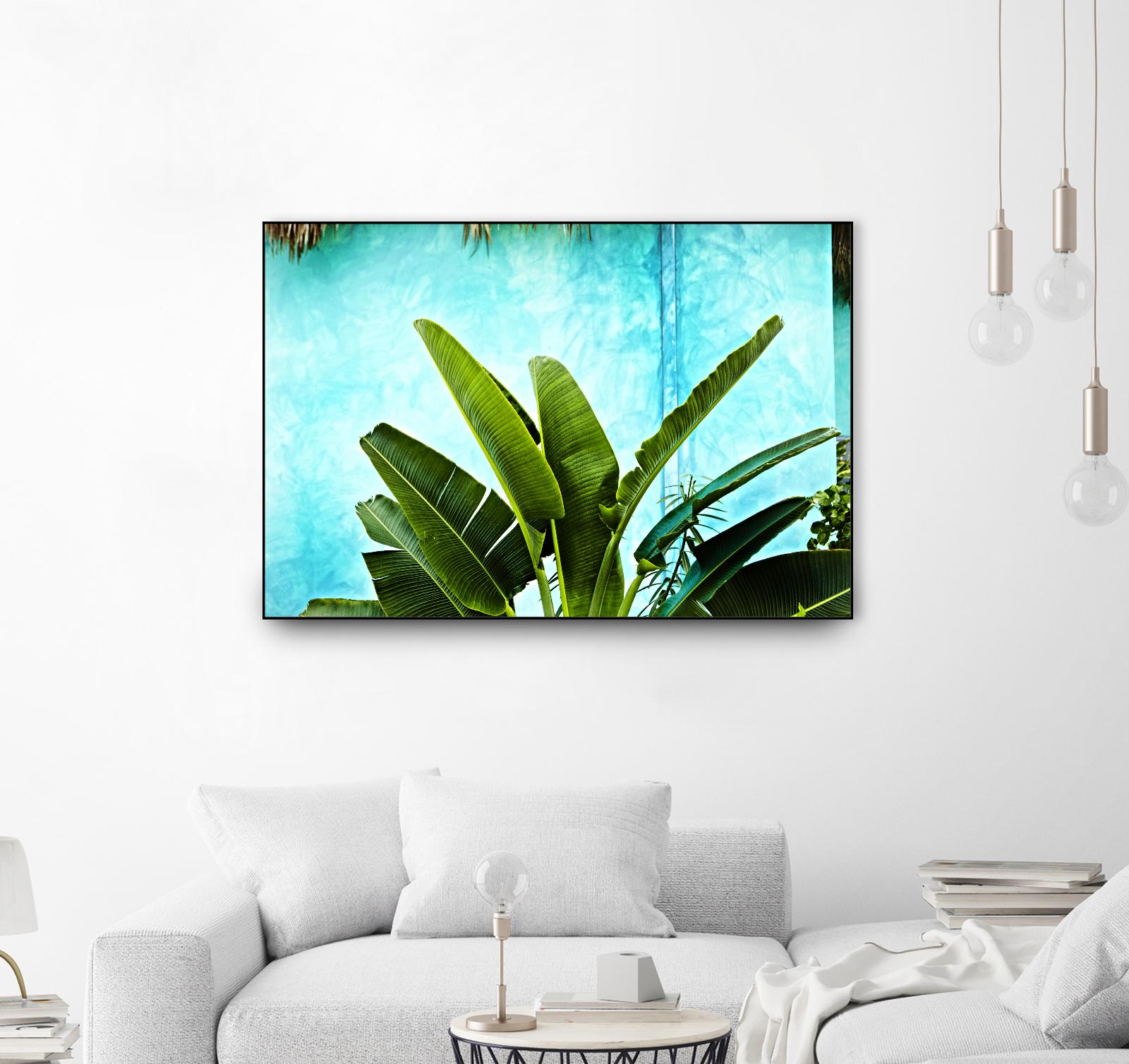 Tropical II by Peter Morneau on GIANT ART - green photo art