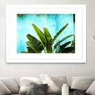 Tropical II by Peter Morneau on GIANT ART - green photo art
