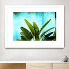 Tropical II by Peter Morneau on GIANT ART - green photo art