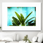 Tropical II by Peter Morneau on GIANT ART - green photo art