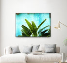 Tropical II by Peter Morneau on GIANT ART - green photo art
