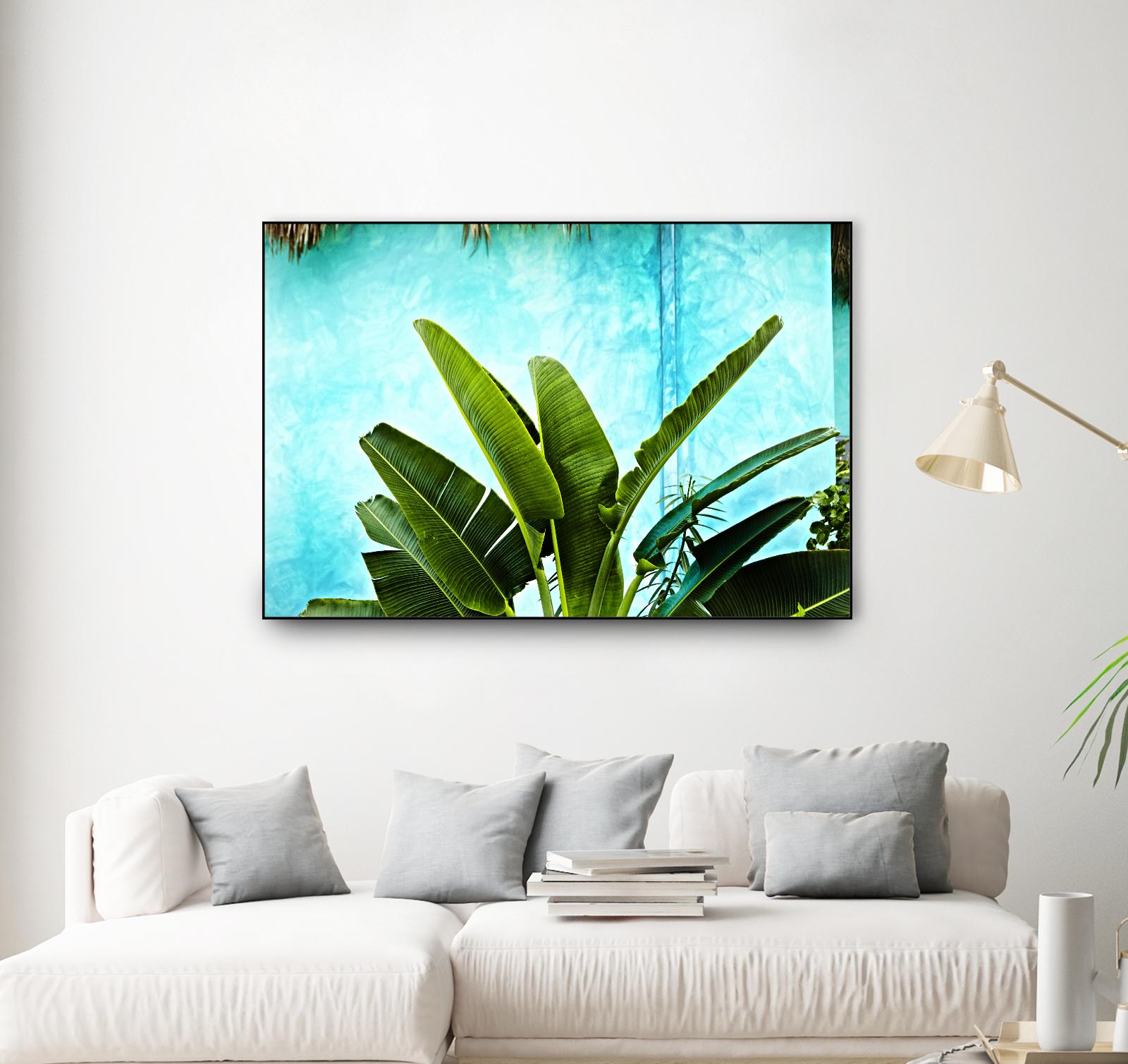 Tropical II by Peter Morneau on GIANT ART - green photo art