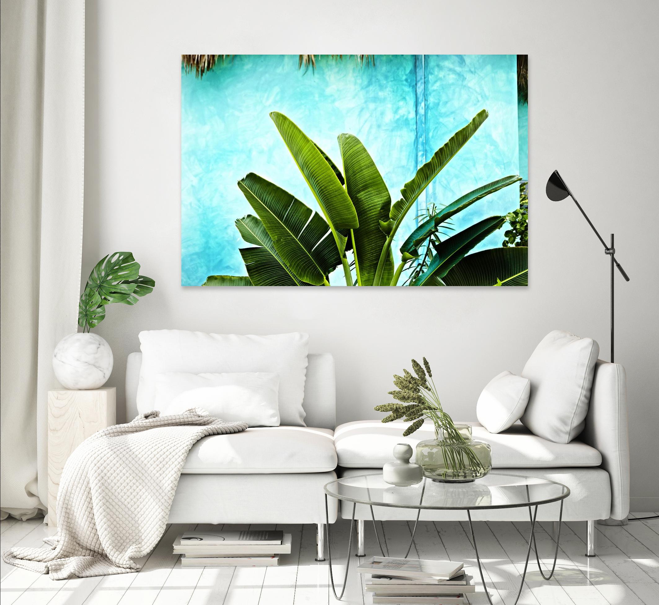 Tropical II by Peter Morneau on GIANT ART - green photo art
