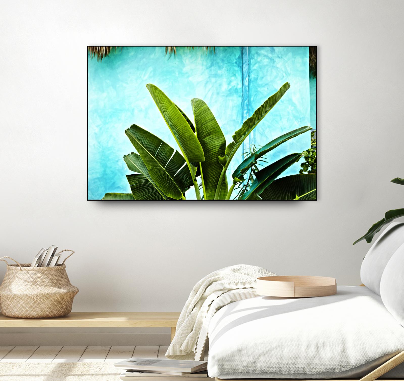 Tropical II by Peter Morneau on GIANT ART - green photo art