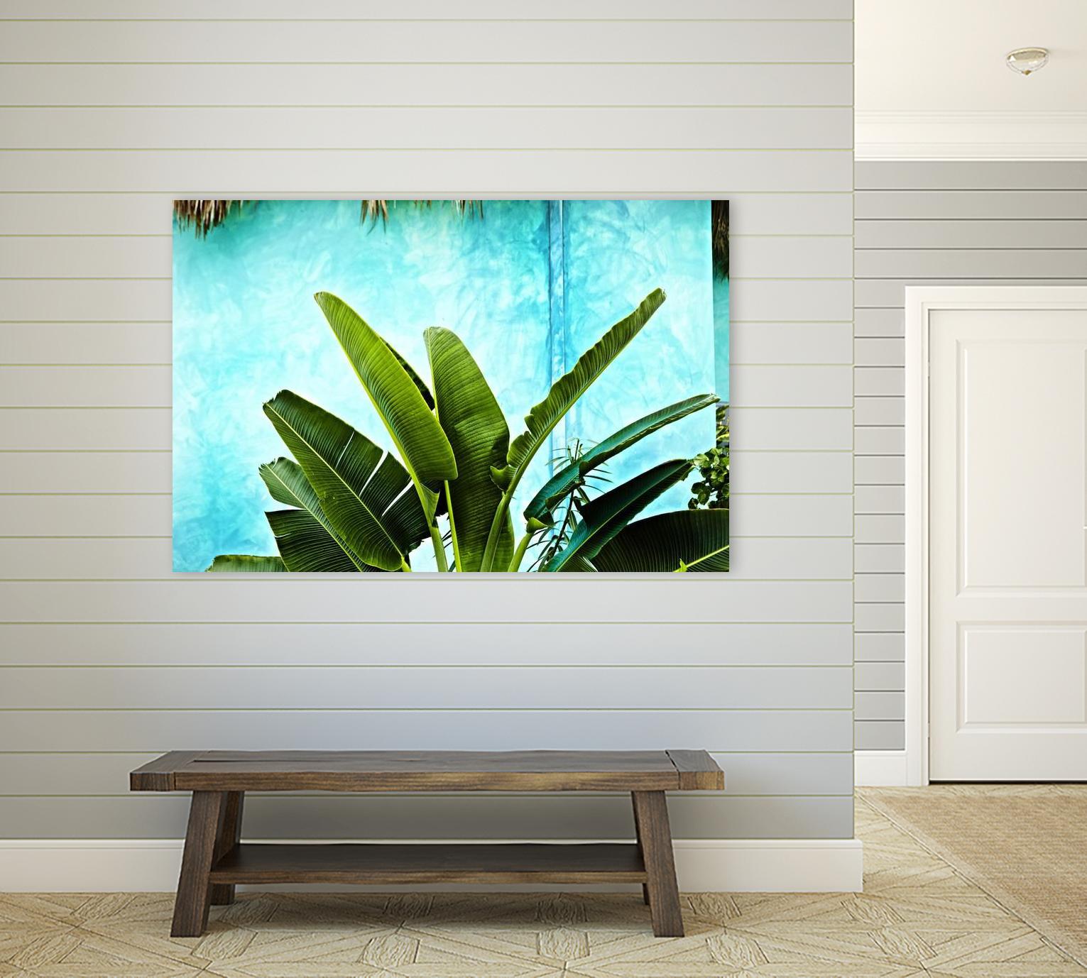Tropical II by Peter Morneau on GIANT ART - green photo art