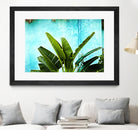 Tropical II by Peter Morneau on GIANT ART - green photo art