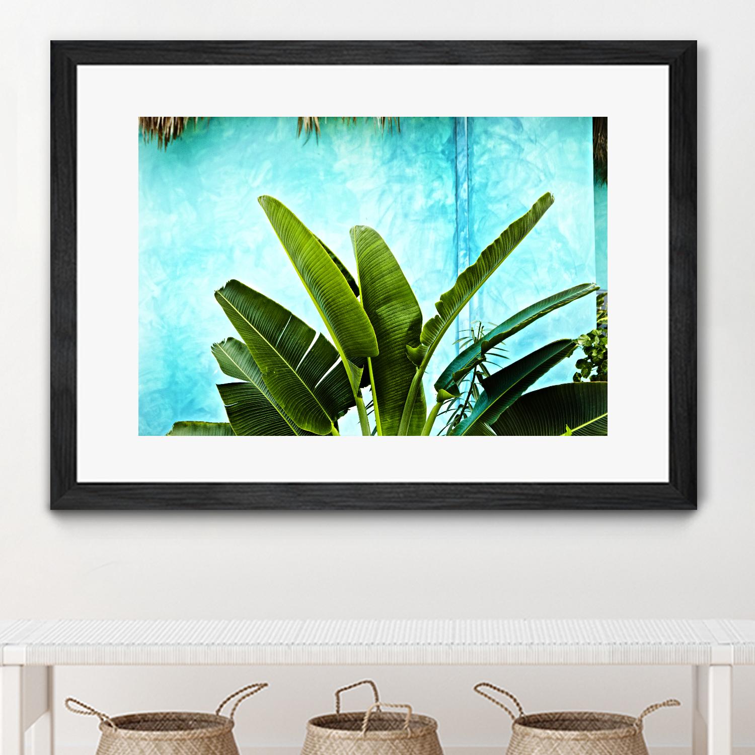Tropical II by Peter Morneau on GIANT ART - green photo art