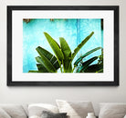 Tropical II by Peter Morneau on GIANT ART - green photo art