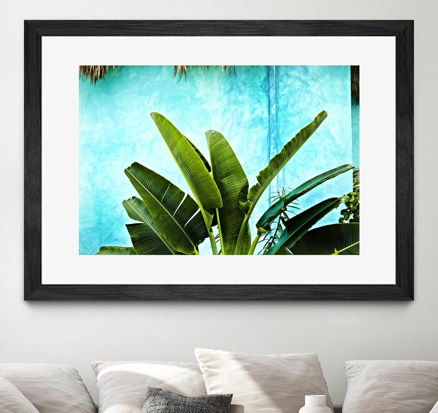 Tropical II by Peter Morneau on GIANT ART - green photo art