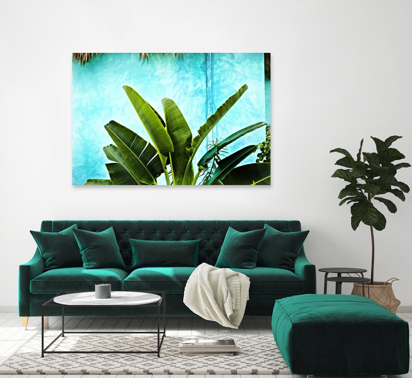 Tropical II by Peter Morneau on GIANT ART - green photo art