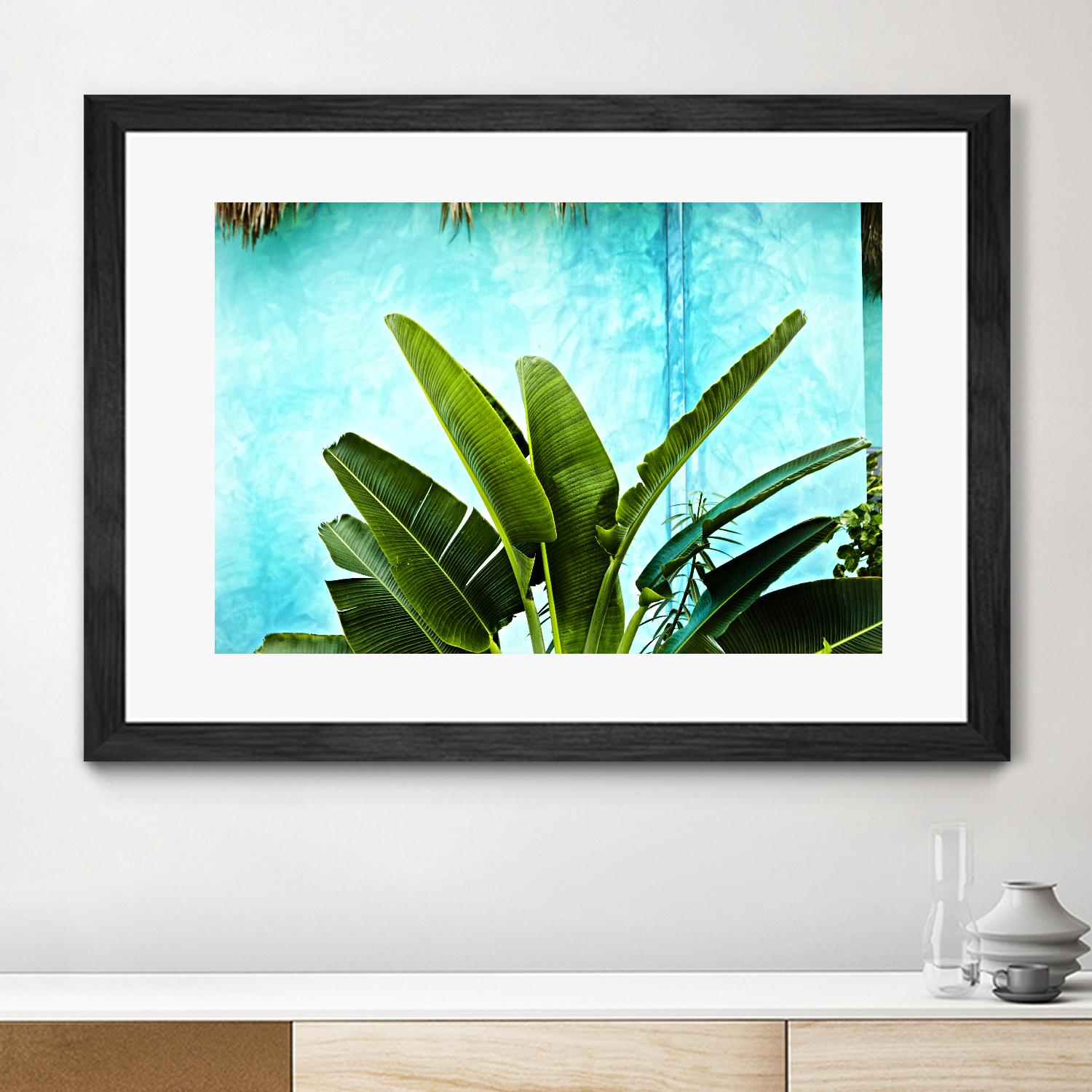 Tropical II by Peter Morneau on GIANT ART - green photo art