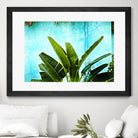 Tropical II by Peter Morneau on GIANT ART - green photo art