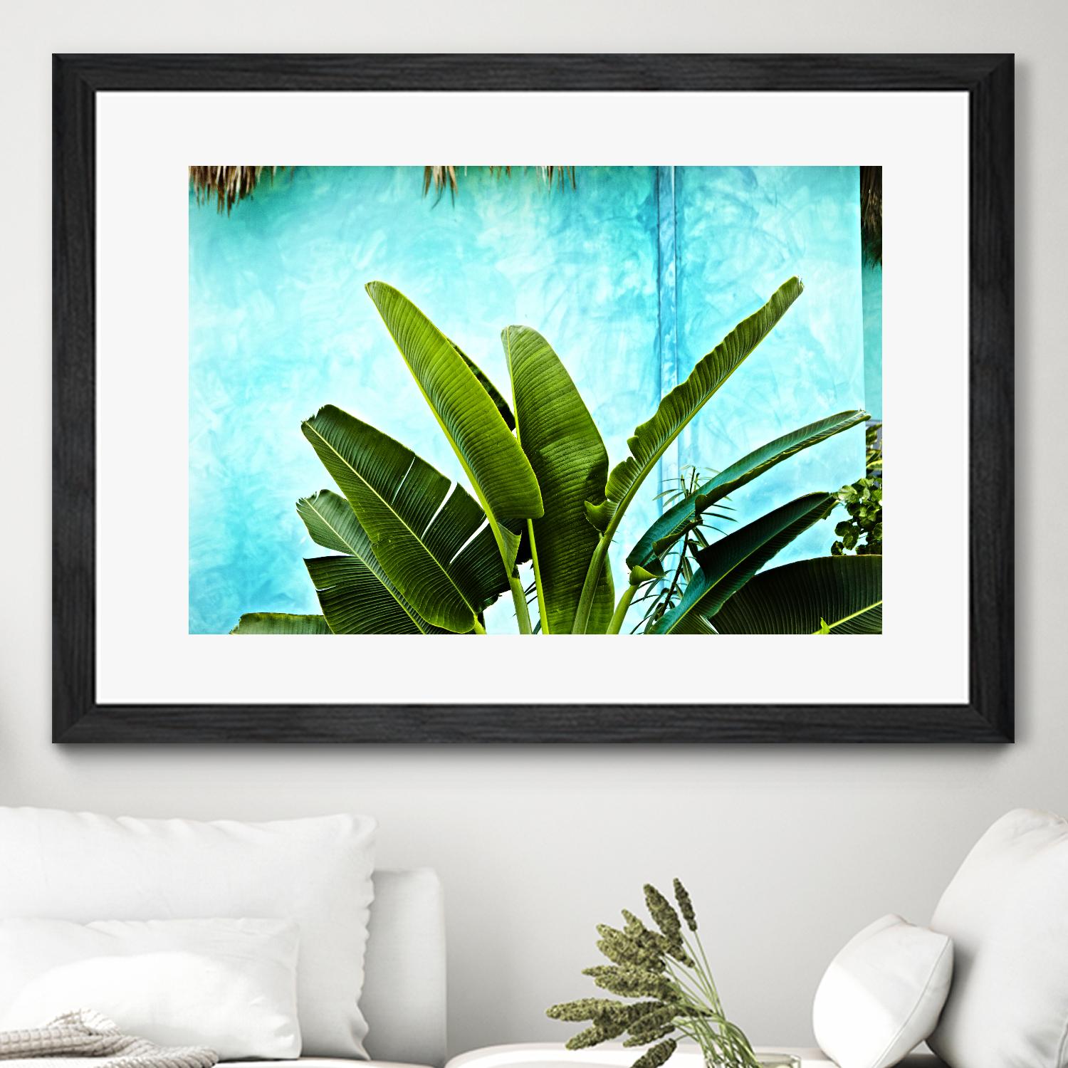 Tropical II by Peter Morneau on GIANT ART - green photo art