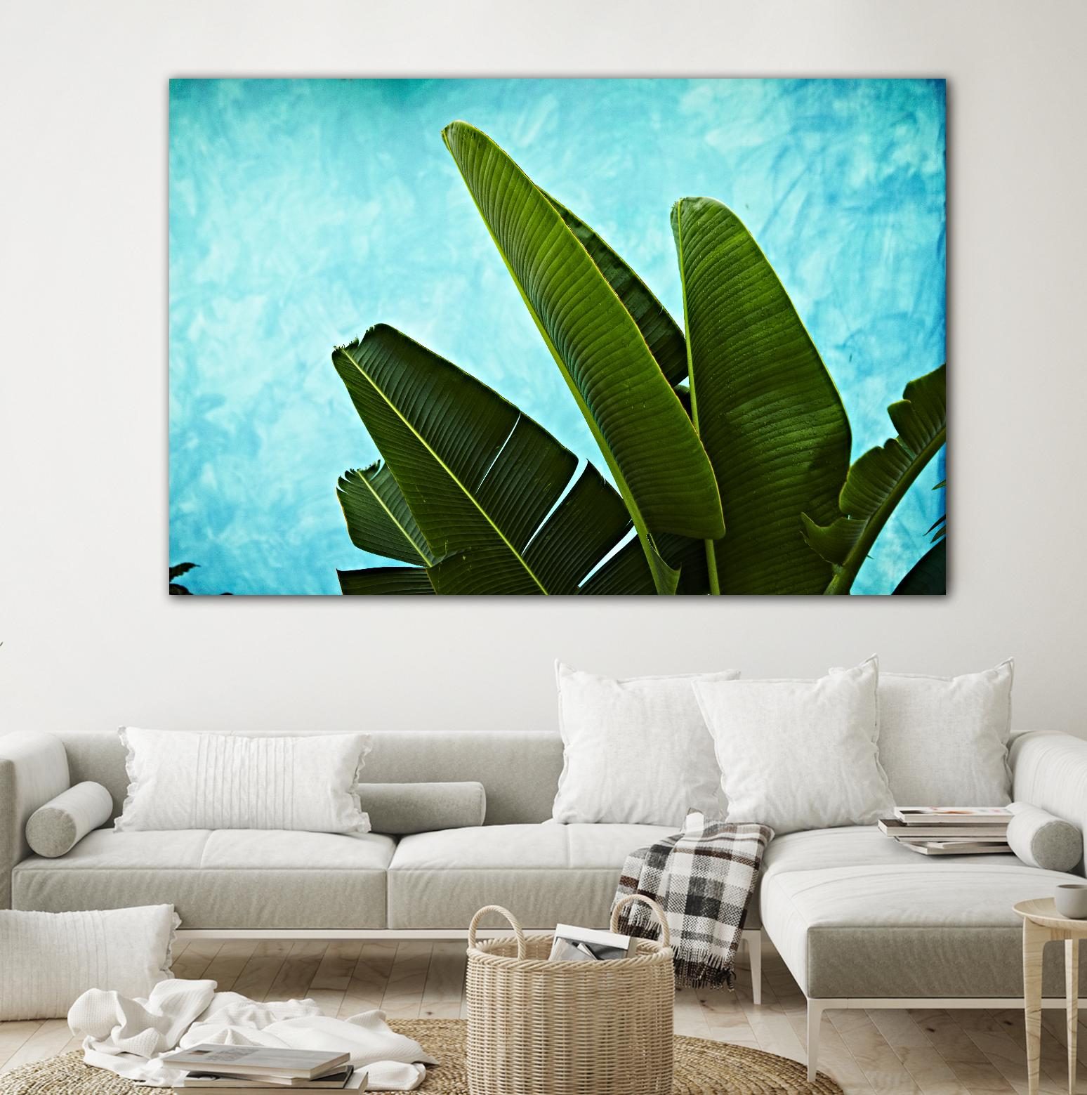 Tropical III by Peter Morneau on GIANT ART - green photo art