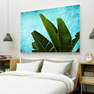 Tropical III by Peter Morneau on GIANT ART - green photo art
