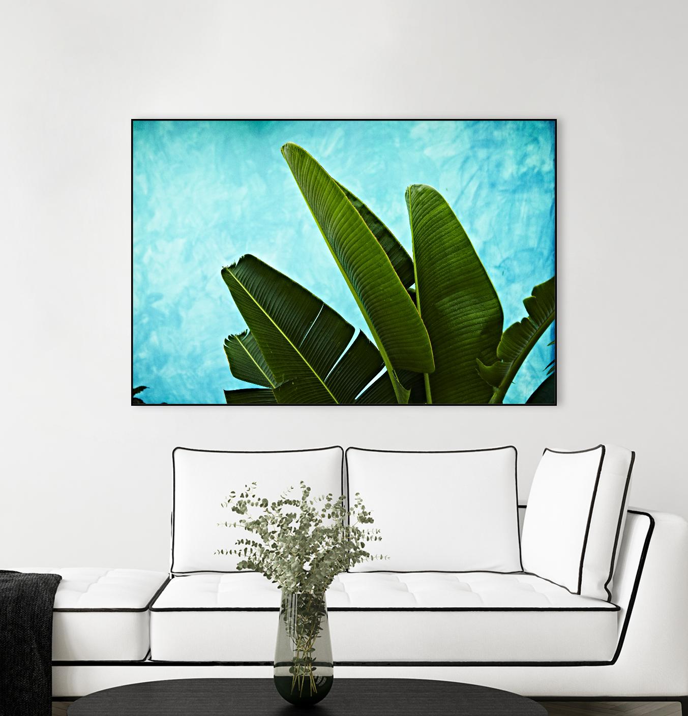 Tropical III by Peter Morneau on GIANT ART - green photo art