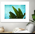 Tropical III by Peter Morneau on GIANT ART - green photo art