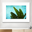 Tropical III by Peter Morneau on GIANT ART - green photo art