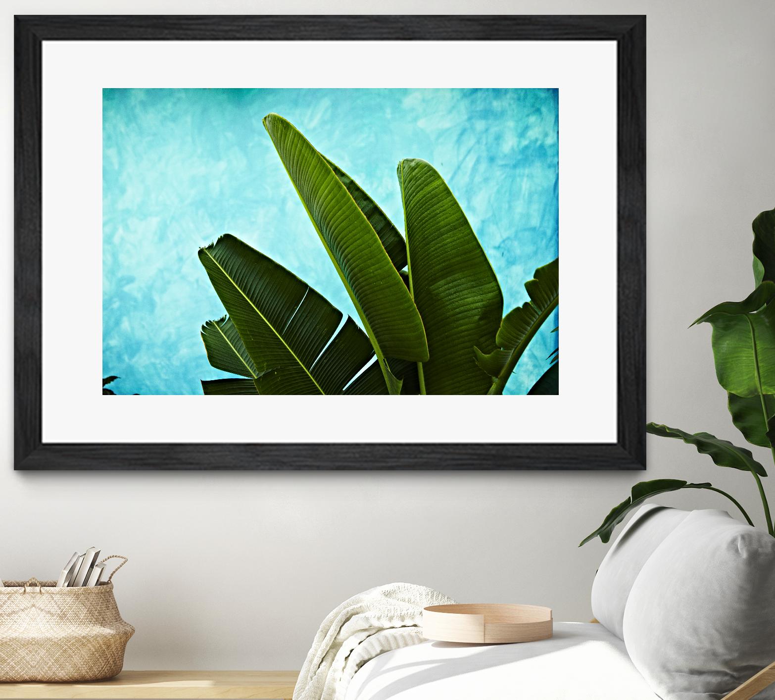 Tropical III by Peter Morneau on GIANT ART - green photo art