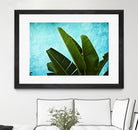 Tropical III by Peter Morneau on GIANT ART - green photo art