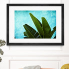 Tropical III by Peter Morneau on GIANT ART - green photo art