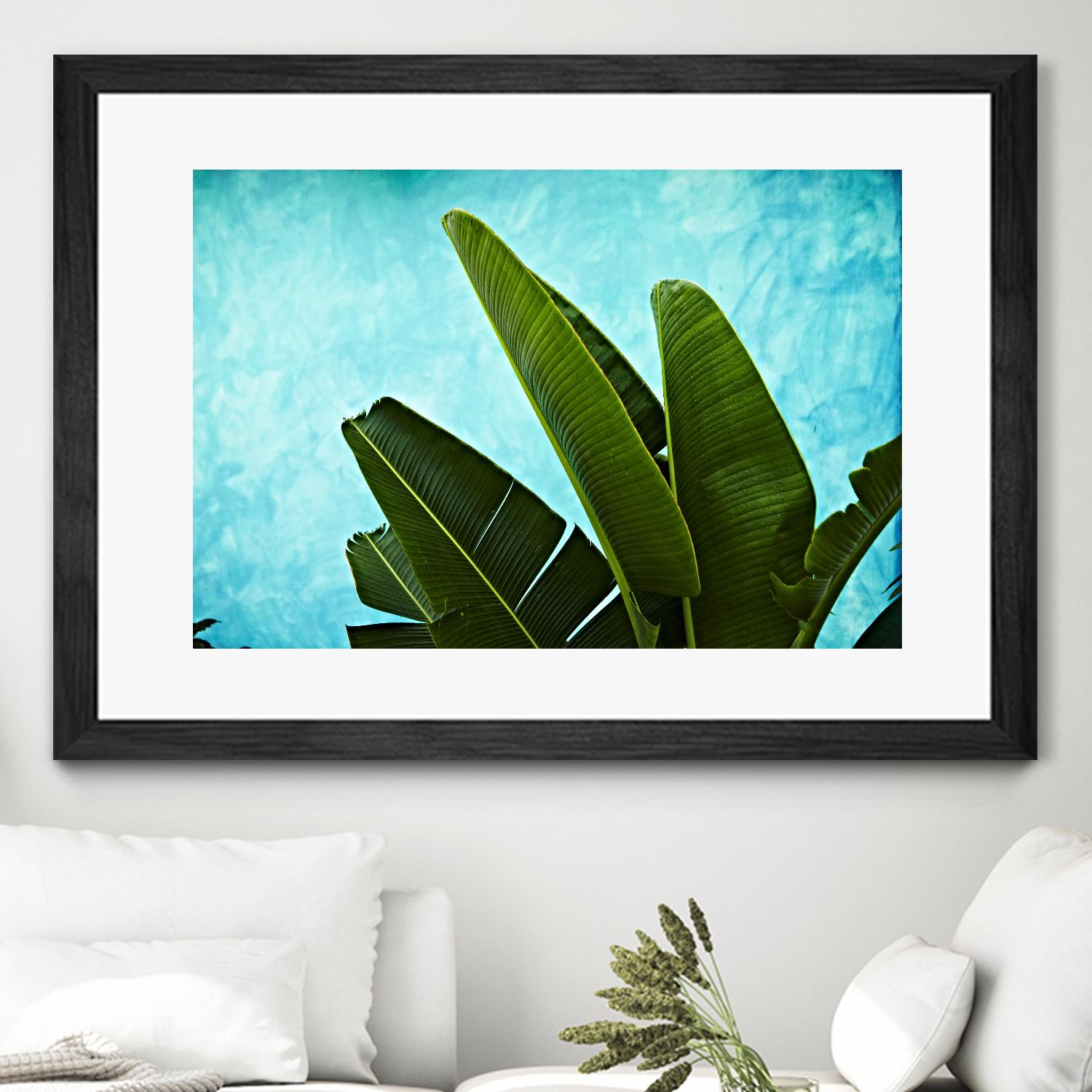 Tropical III by Peter Morneau on GIANT ART - green photo art