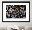 Wood I by Peter Morneau on GIANT ART - blue photo art