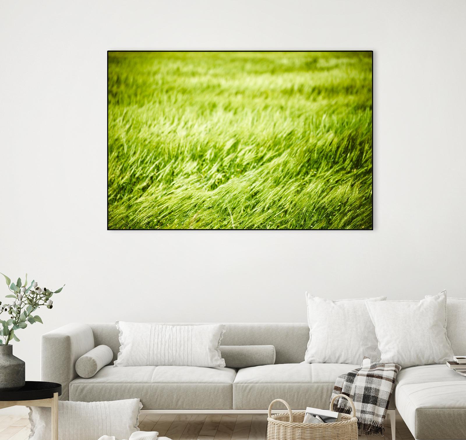 Grass I by Peter Morneau on GIANT ART - green photo art