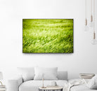 Grass I by Peter Morneau on GIANT ART - green photo art