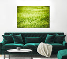 Grass I by Peter Morneau on GIANT ART - green photo art