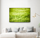 Grass I by Peter Morneau on GIANT ART - green photo art