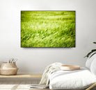 Grass I by Peter Morneau on GIANT ART - green photo art