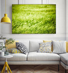 Grass I by Peter Morneau on GIANT ART - green photo art