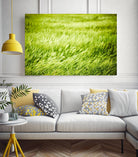 Grass I by Peter Morneau on GIANT ART - green photo art