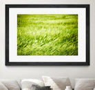 Grass I by Peter Morneau on GIANT ART - green photo art