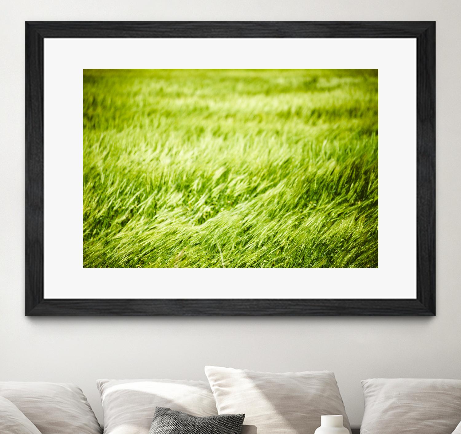 Grass I by Peter Morneau on GIANT ART - green photo art