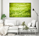 Grass I by Peter Morneau on GIANT ART - green photo art