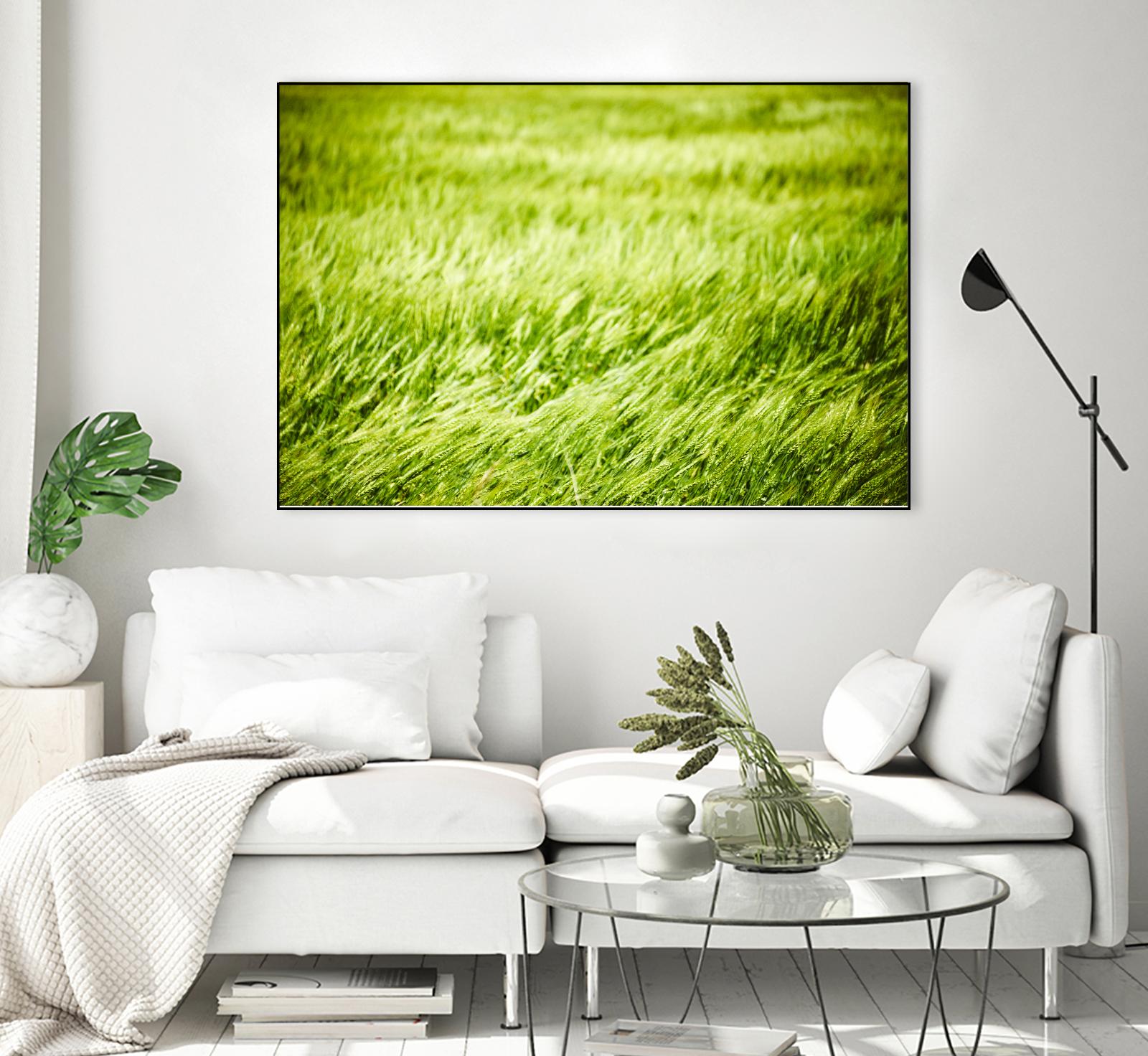 Grass I by Peter Morneau on GIANT ART - green photo art