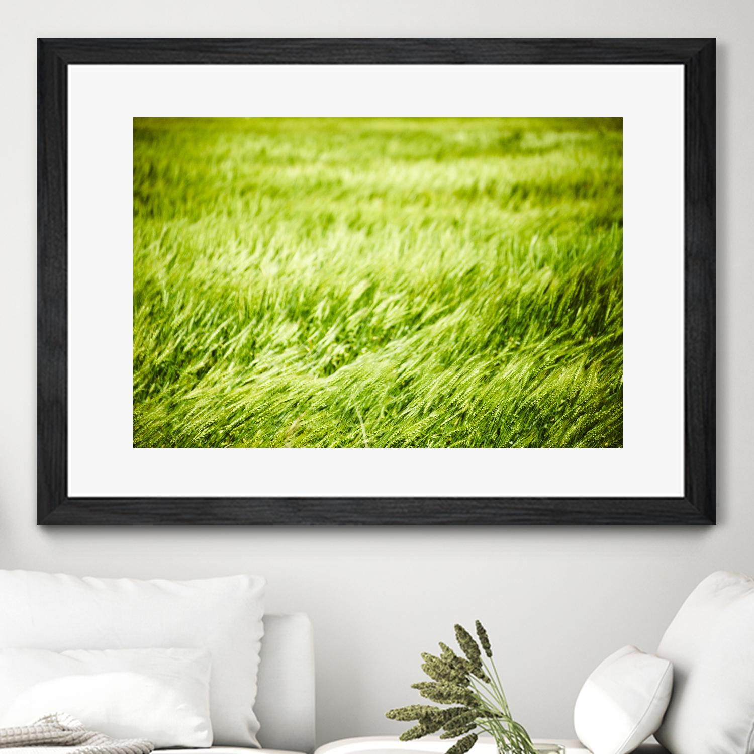 Grass I by Peter Morneau on GIANT ART - green photo art