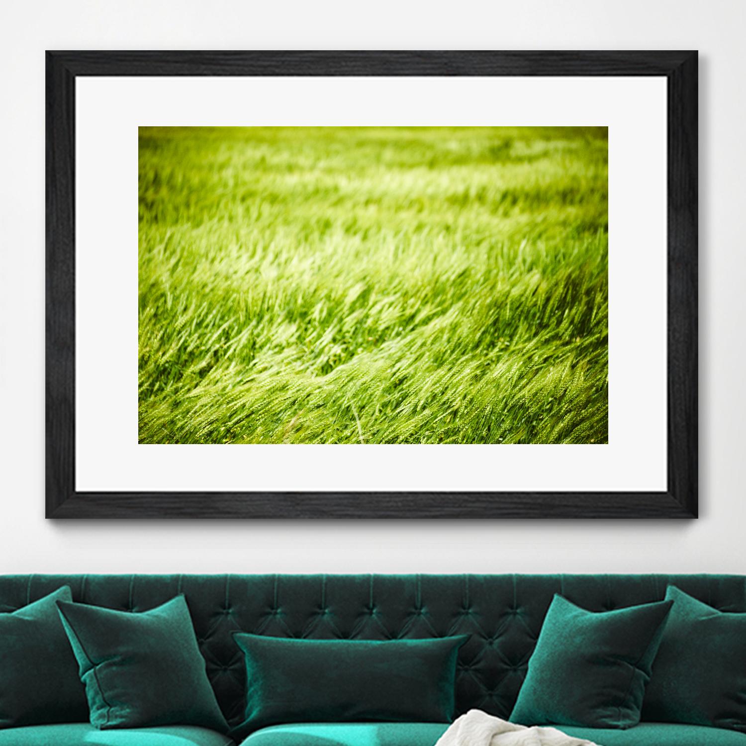 Grass I by Peter Morneau on GIANT ART - green photo art