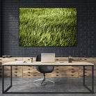 Grass II by Peter Morneau on GIANT ART - green photo art