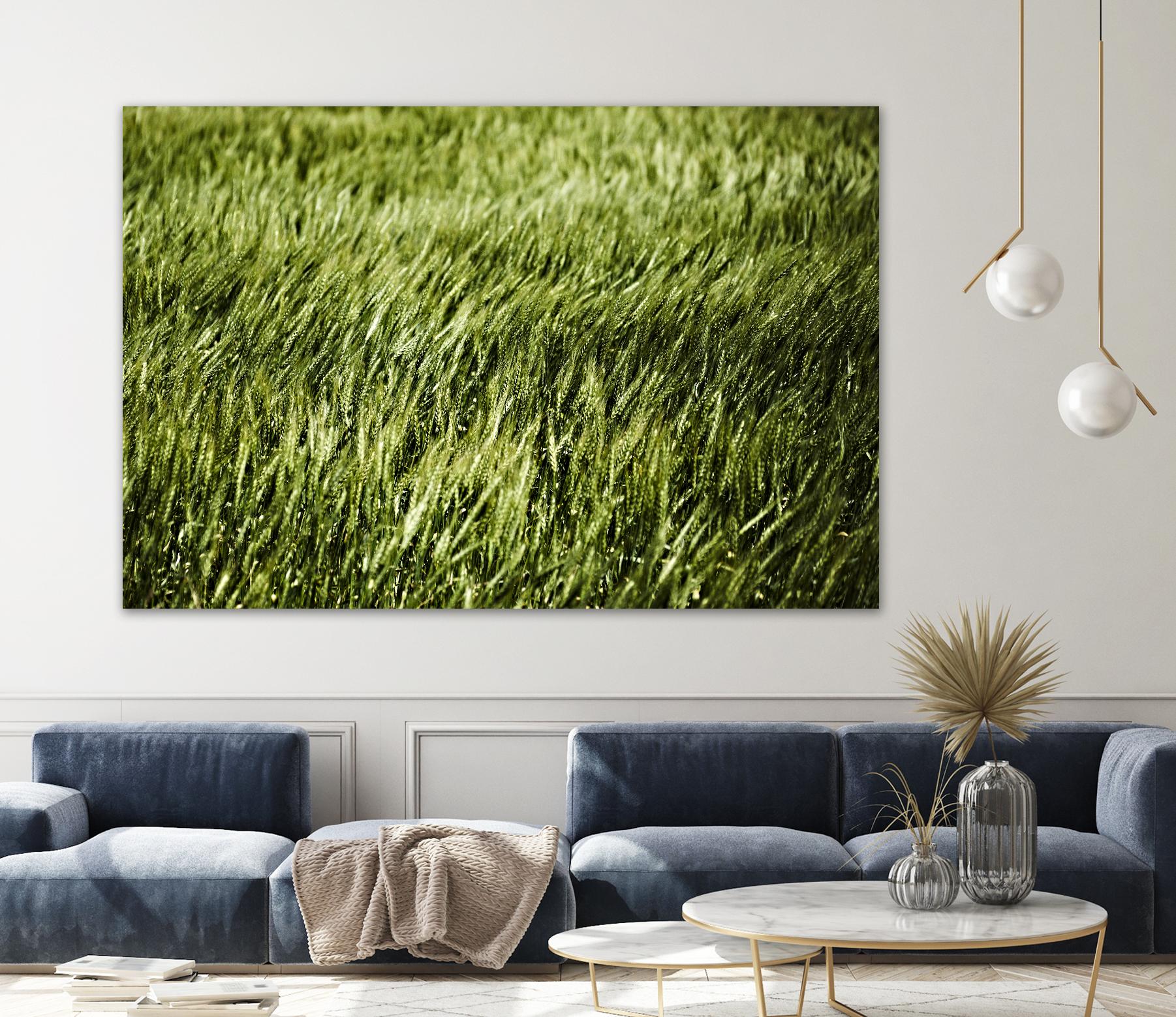 Grass II by Peter Morneau on GIANT ART - green photo art