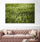Grass II by Peter Morneau on GIANT ART - green photo art