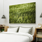 Grass II by Peter Morneau on GIANT ART - green photo art