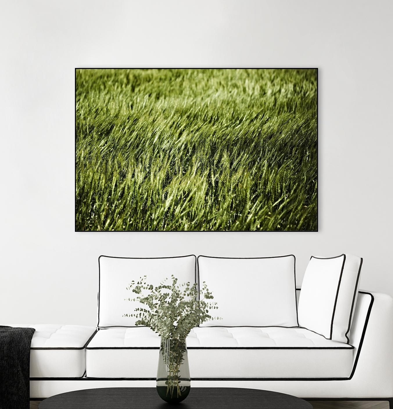 Grass II by Peter Morneau on GIANT ART - green photo art