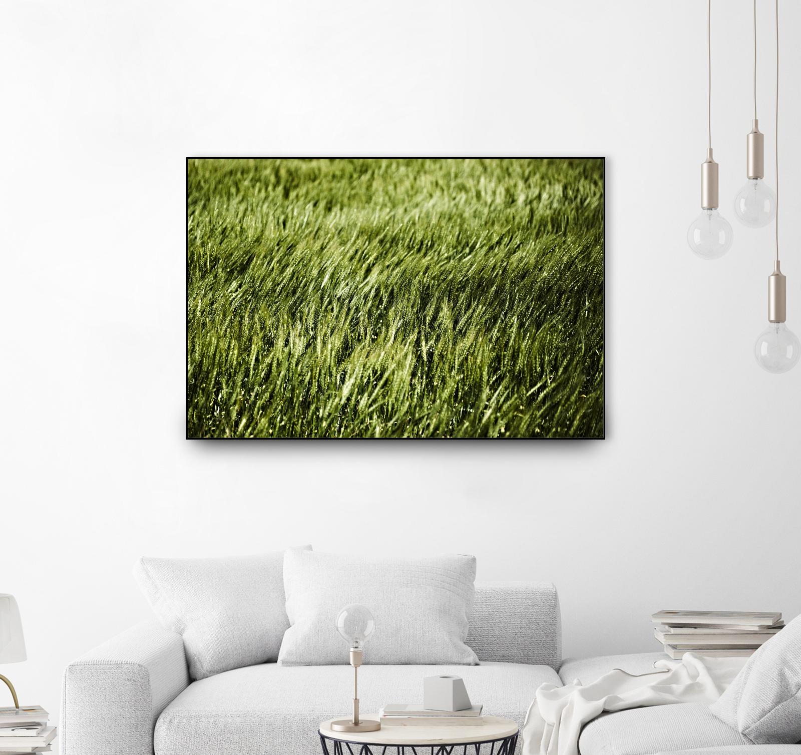 Grass II by Peter Morneau on GIANT ART - green photo art