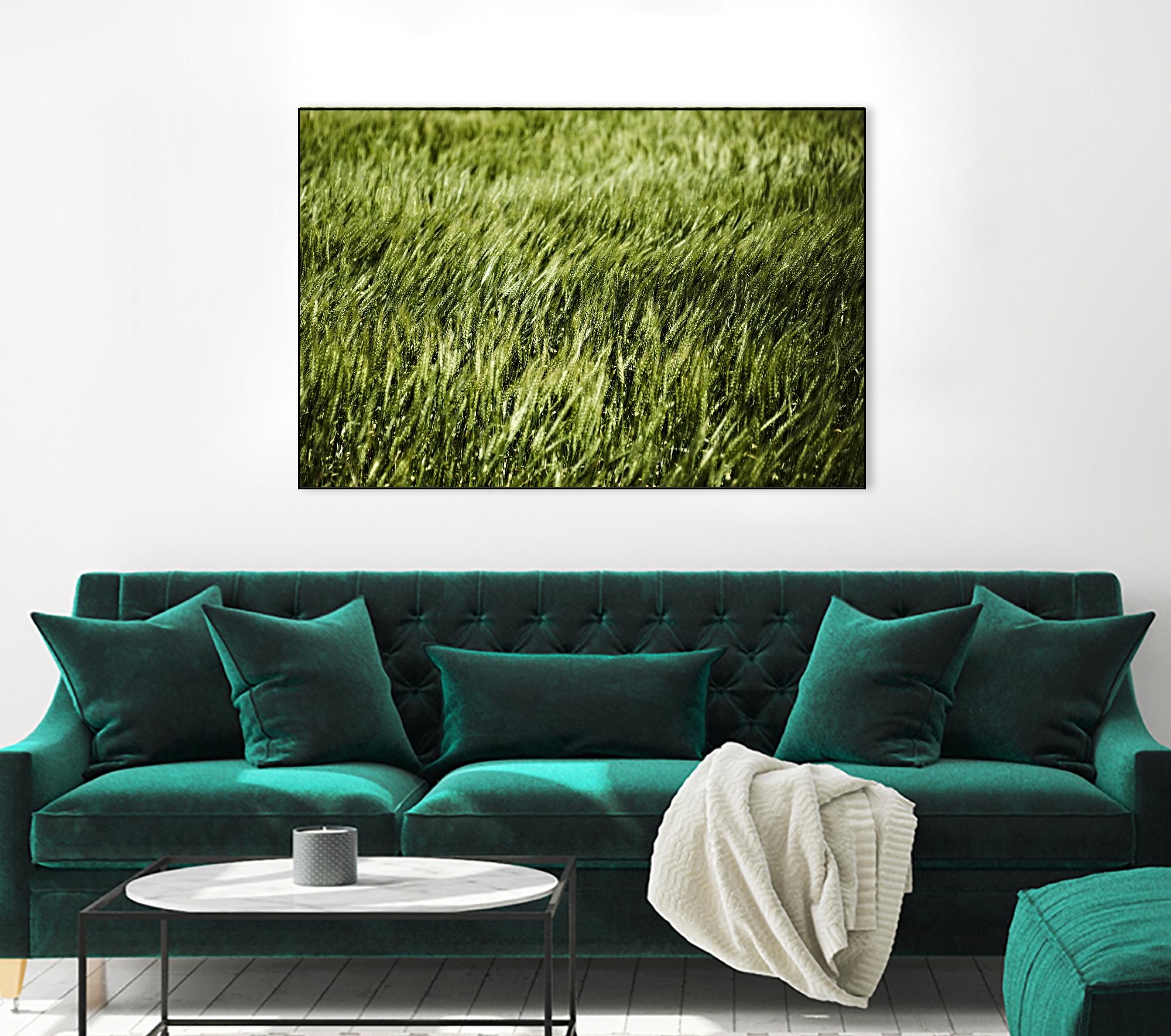 Grass II by Peter Morneau on GIANT ART - green photo art