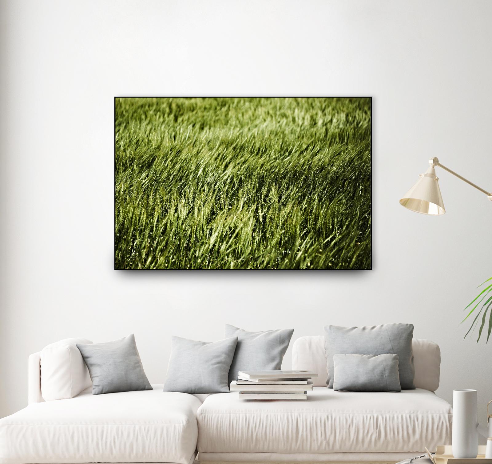 Grass II by Peter Morneau on GIANT ART - green photo art